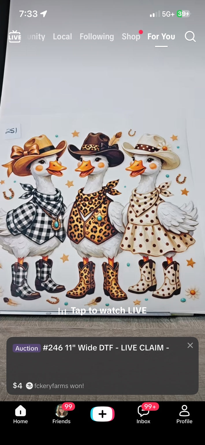 Cowgirl Goose Trio DTF Transfer #246